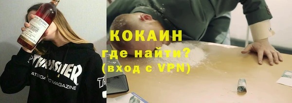 МДПВ Алзамай