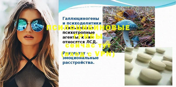 прущий лед Алексеевка