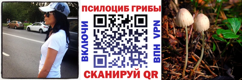 Псилоцибиновые грибы Psilocybine cubensis магазин продажи наркотиков Арзамас
