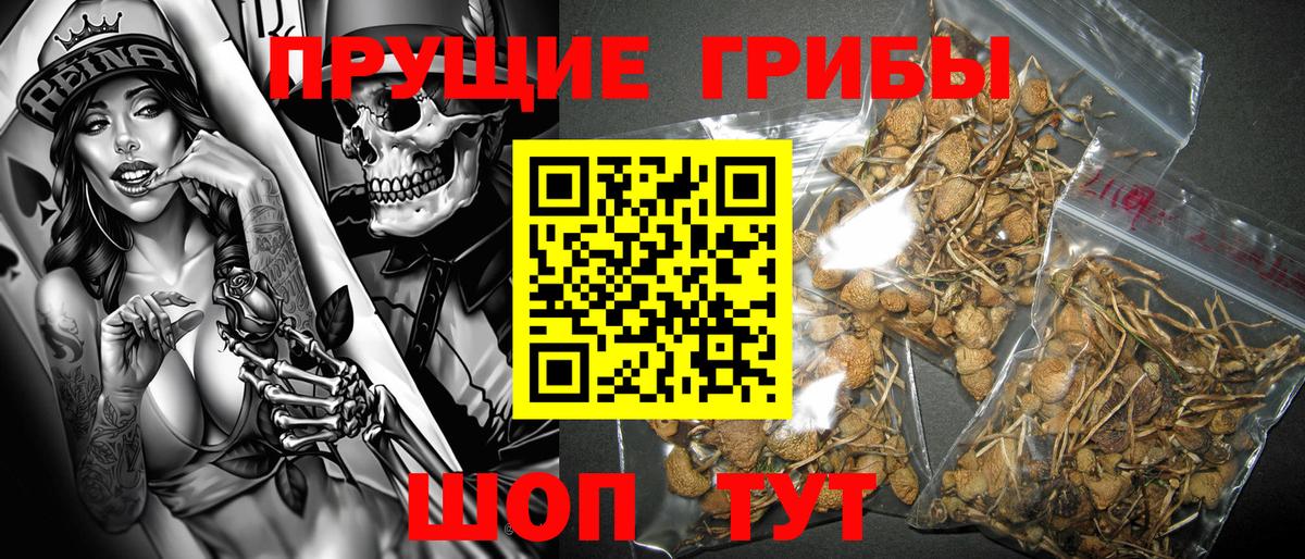 МДМА  ГАШ  Вход с VPN  Экстази  Мефедрон кристаллы  КЕТАМИН  APVP СОЛЬ кристаллы  Арзамас  Каннабис 