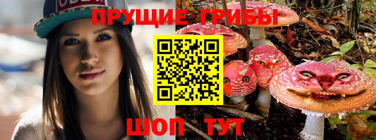 Псилоцибиновые грибы ЛСД  Псилоцибиновые грибы прущие грибы  Вход с VPN  Арзамас 